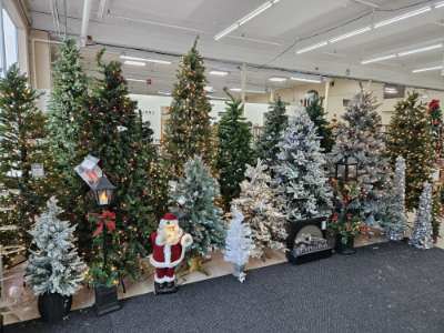 Christmas Trees